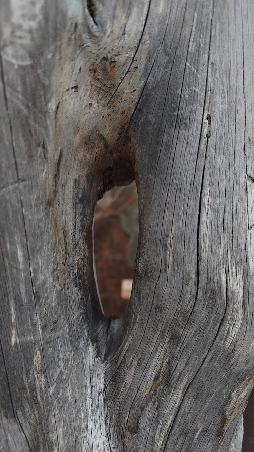 Författaren på nya äventyr